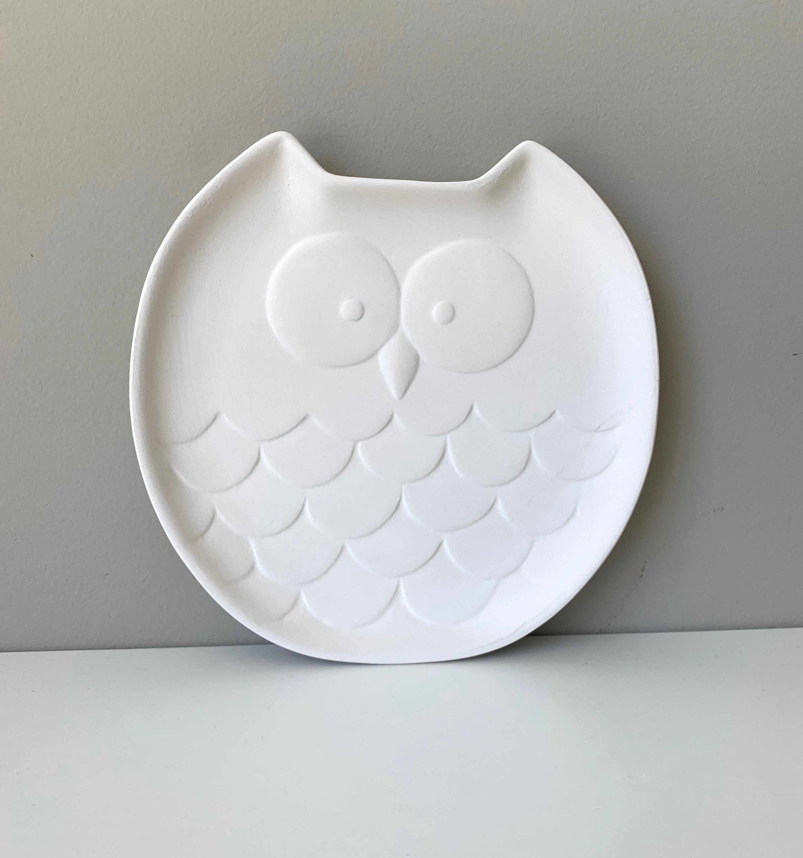 DIY Pottery Painting Kit Big Owl Dish Ceramic Art Kits for Etsy Nederland
