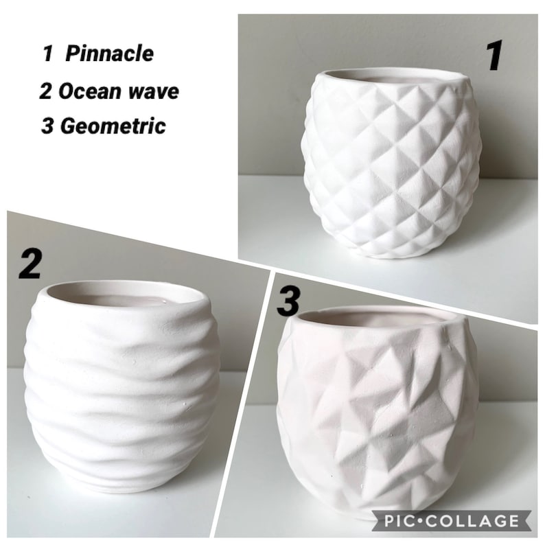 DIY Pottery Painting Kit Succulent Planter Kit Virtual Paint Etsy