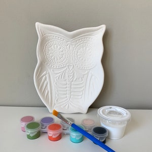 May include: White ceramic owl-shaped plate with a detailed design, paint pots in various colors, a paintbrush, and a clear plastic container.