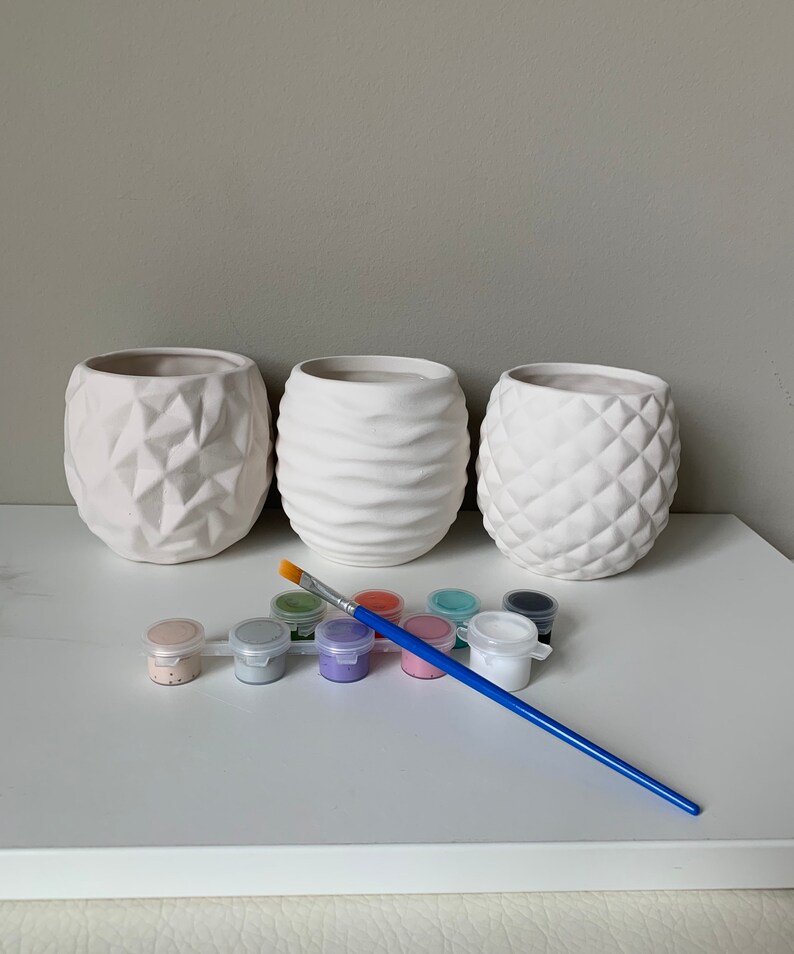 DIY Pottery Painting Kit Succulent Planter Kit Virtual Paint Etsy
