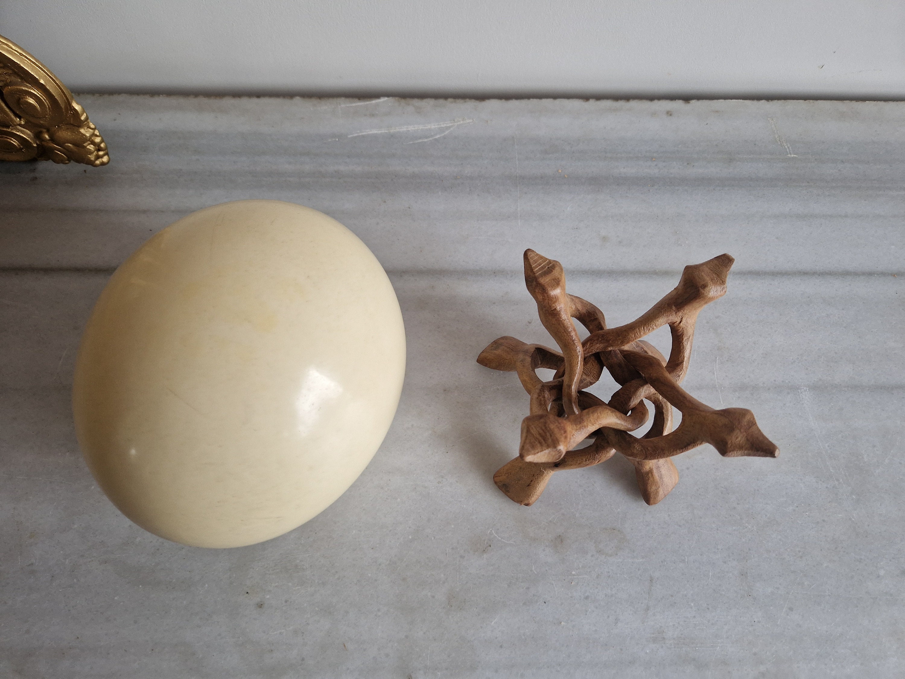 Ostrich Egg on Its Exotic Wooden Stand - Etsy