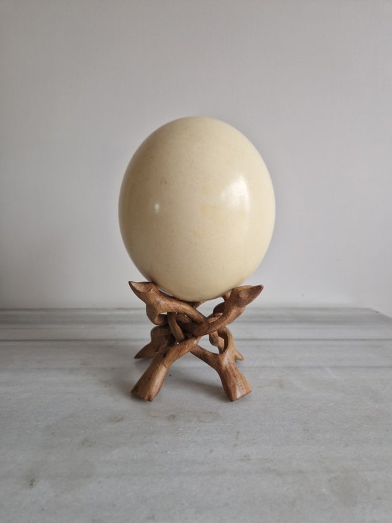 Oeuf autruche or - Comptoir des explorateurs