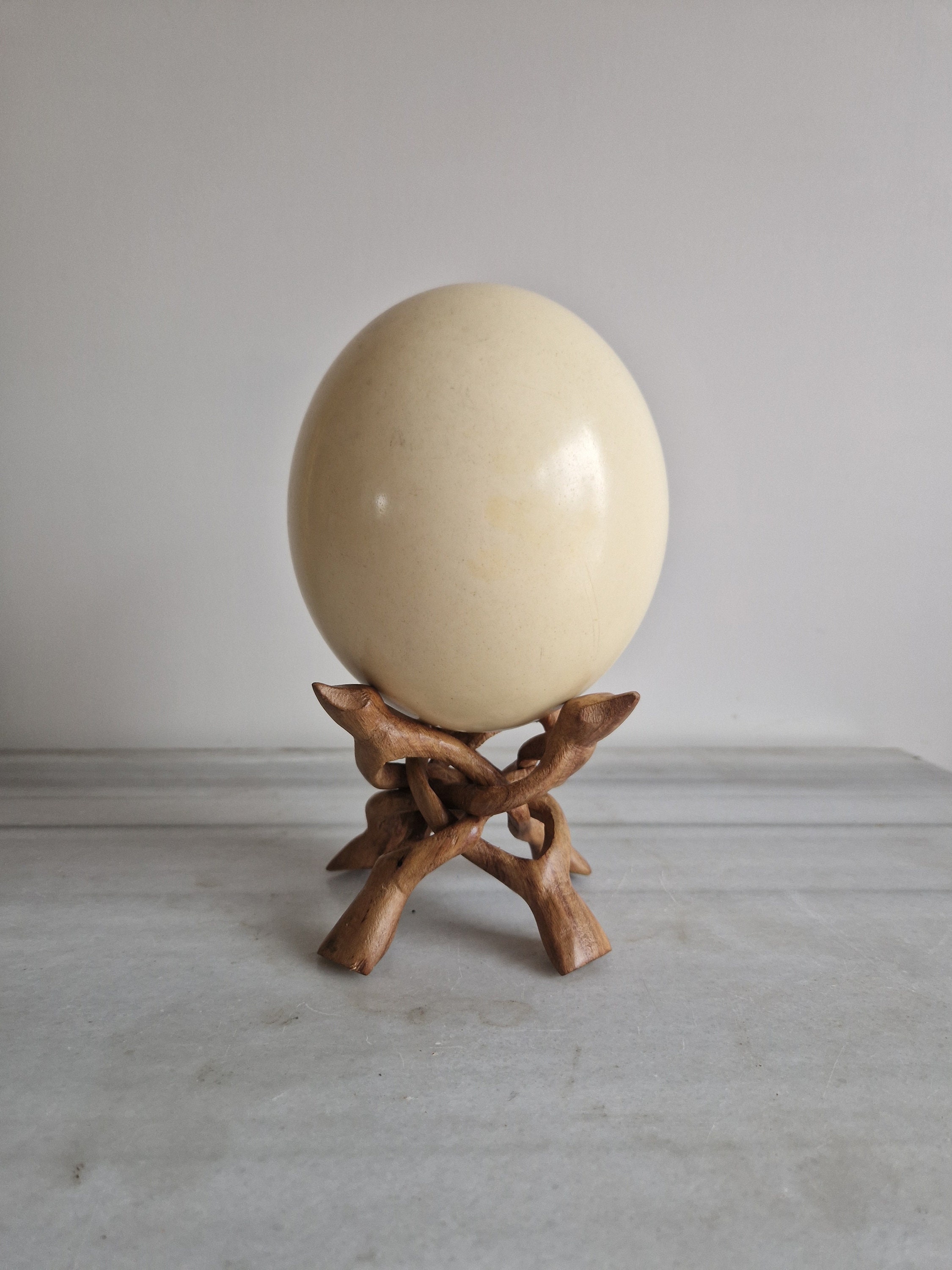 Ostrich Egg on Its Exotic Wooden Stand - Etsy