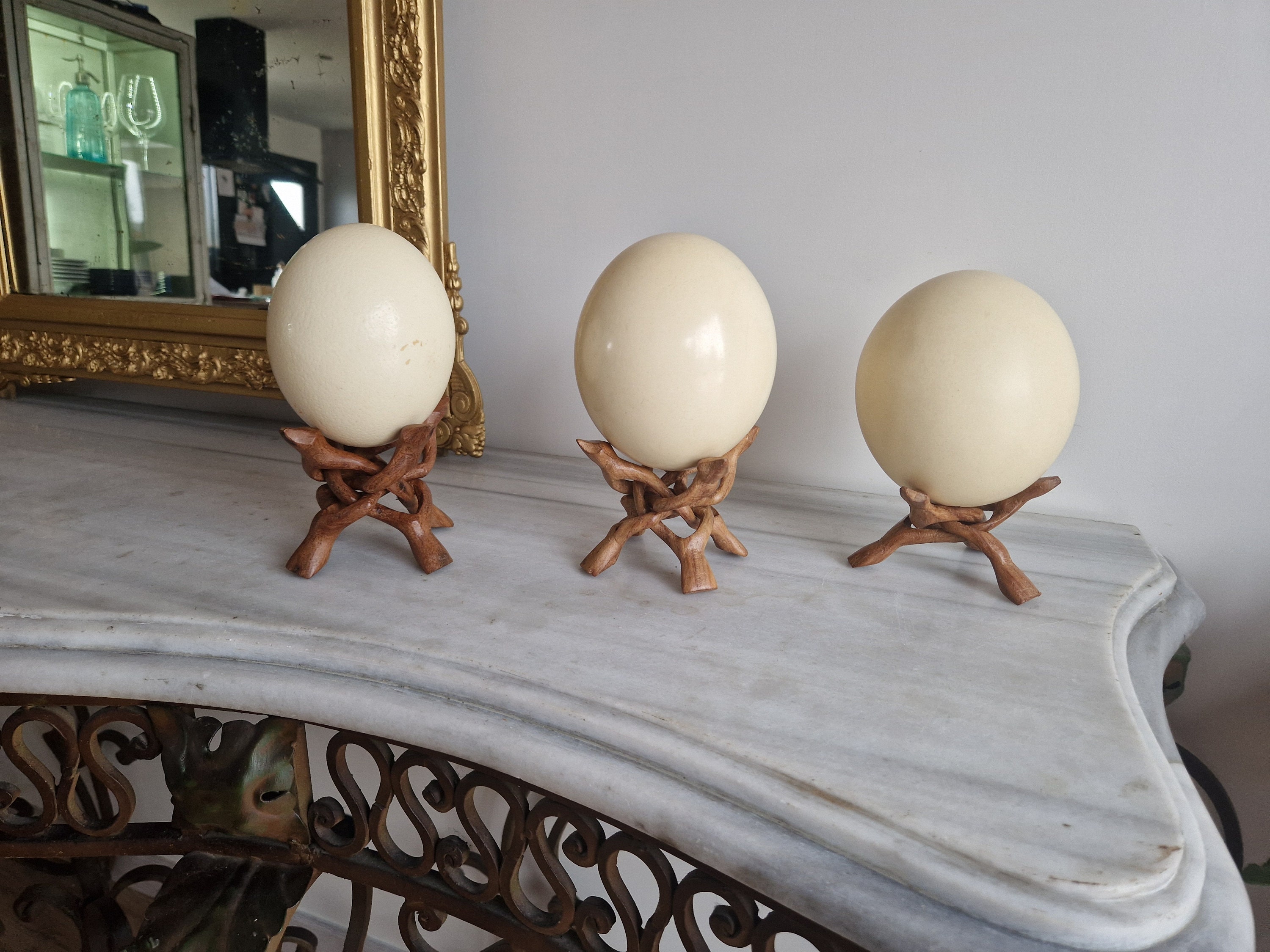 Ostrich Egg on Its Exotic Wooden Stand - Etsy