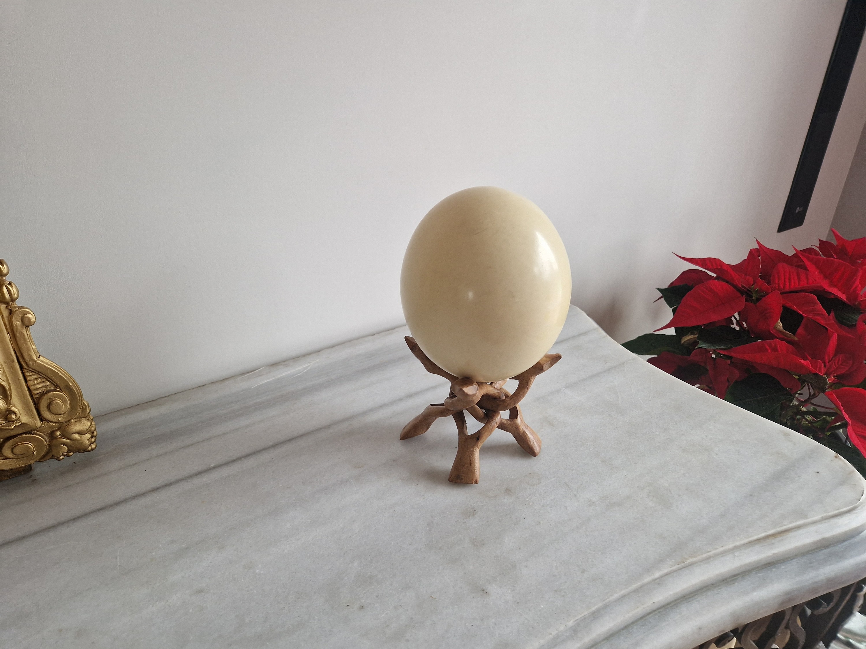 Ostrich Egg on Its Exotic Wooden Stand - Etsy