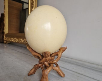 Natural Ostrich Egg on Exotic Wood Stand | Ostrich Egg Display