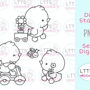 PNG Fluffy Chicken digi stamps, PNG imagen de descarga instantánea, Spring digi Stamp, tarjetas de bricolaje, etiquetas de regalo