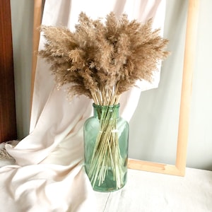 Mini Feather Reeds  Grass 25PC | Decorative Plumes | Real Dried Grass | Boho Decor | Wedding Arch