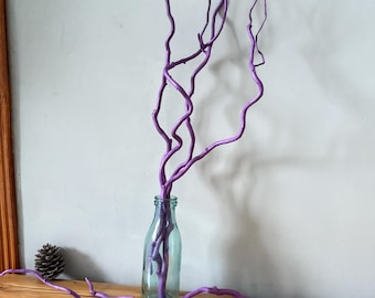 May include: Purple twig branches in a clear glass bottle on a wooden surface. The branches are arranged in a vase-like shape.