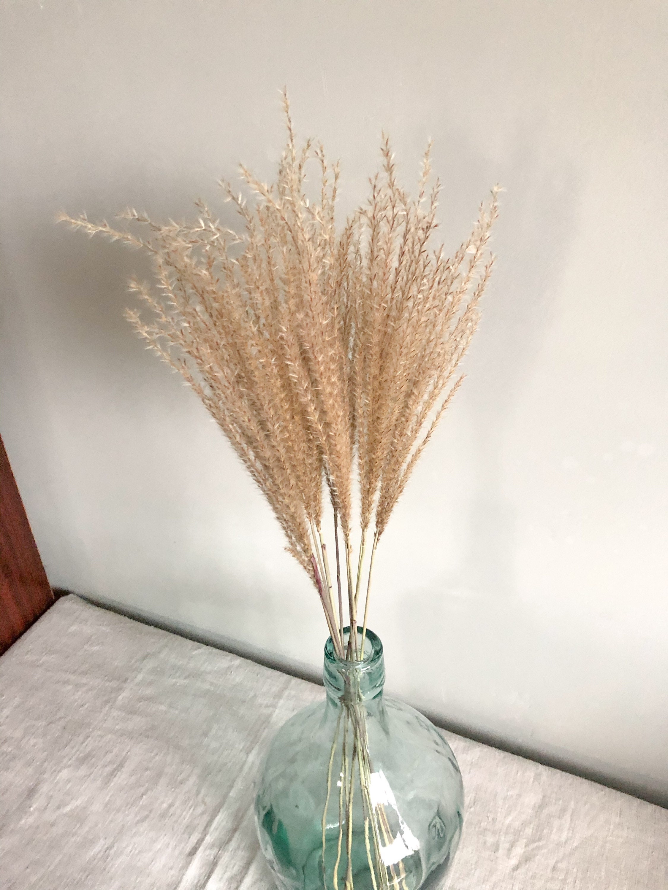 Maiden Grass 10PC Miscanthus Decorative Plumes Real Etsy