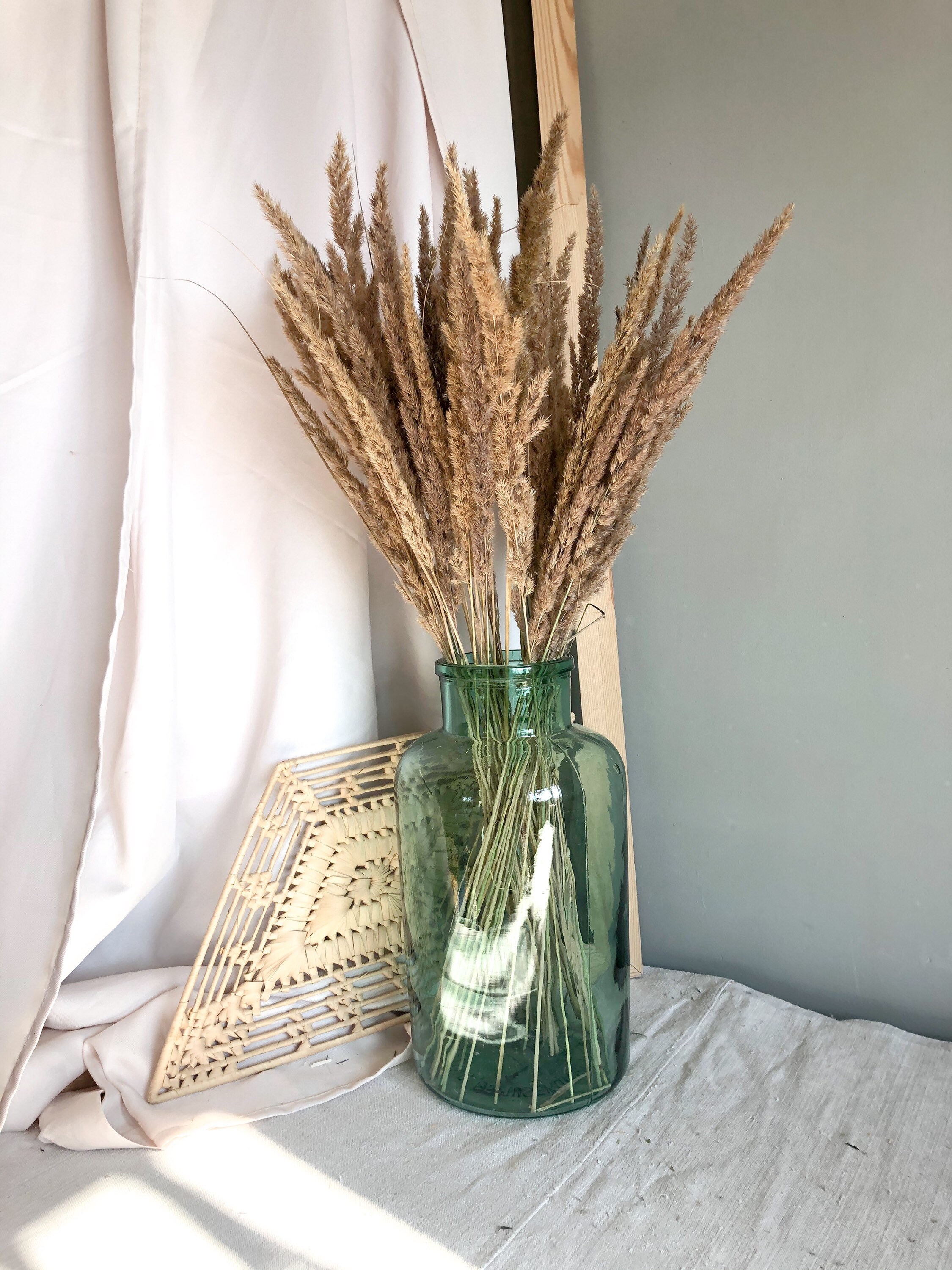 Mini Feather Reeds Grass 50PC Decorative Plumes Real Etsy