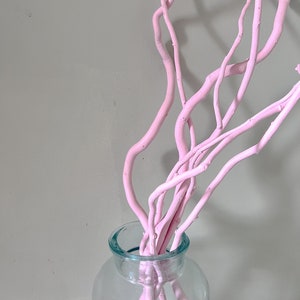 Pink Curly willow branches 5pc | Real Dried branches | Scandinavian home Decor | Living room vase decor