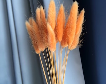 Oranje Lagurus Gras 25ST| Konijnenstaart | Echt gekleurd gedroogd gras | Boho-inrichting | Huwelijksboog
