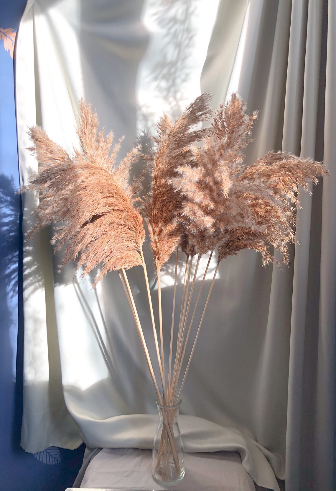 Pampas Gras 5PC 10PC Echtes Gras Boho Dekor Etsy