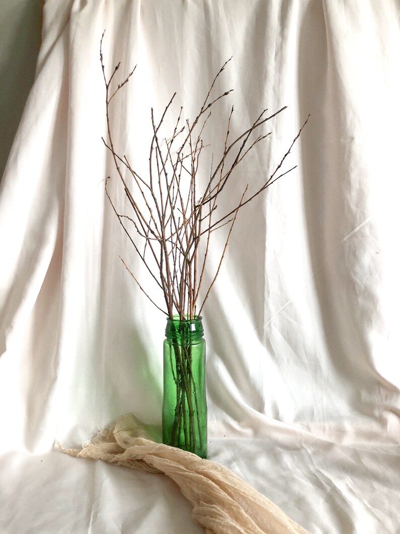 Dry willow branches bouquet 9pc Real Dried branches Etsy