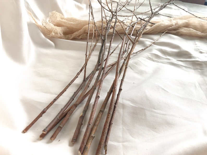 Dry willow branches bouquet 9pc Real Dried branches Etsy