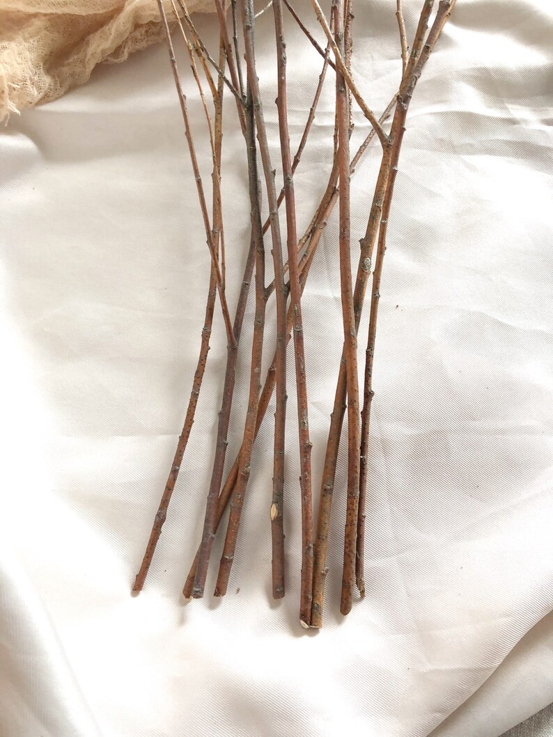 Dry willow branches bouquet 9pc Real Dried branches Etsy