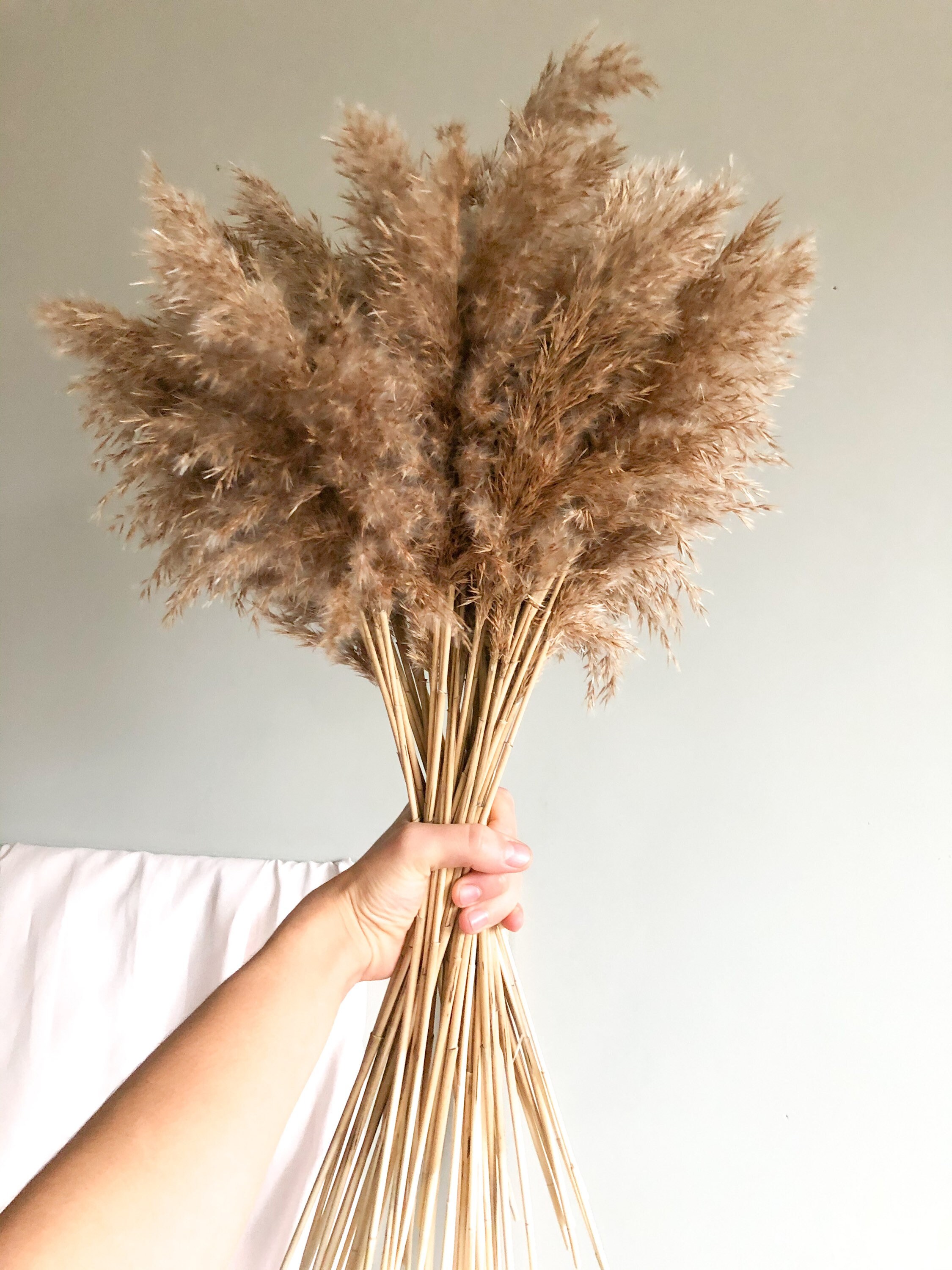 Mini pluma cañas hierba 25PC / plumas decorativas / hierba Etsy