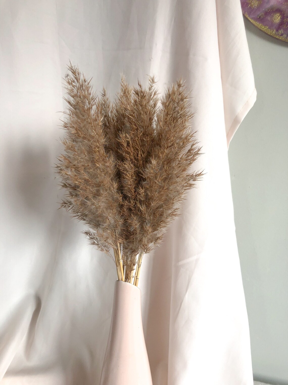 Mini Feather Reeds Grass 10PC Decorative Plumes Real Etsy