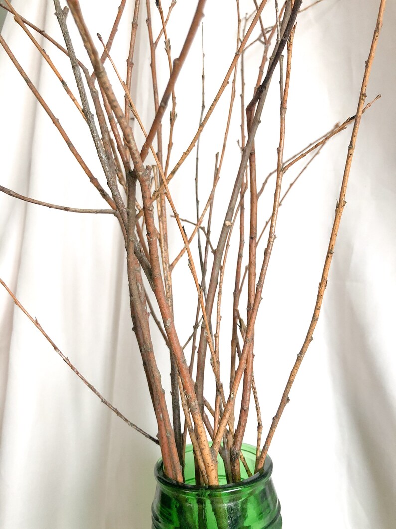 Dry willow branches bouquet 9pc Real Dried branches Etsy