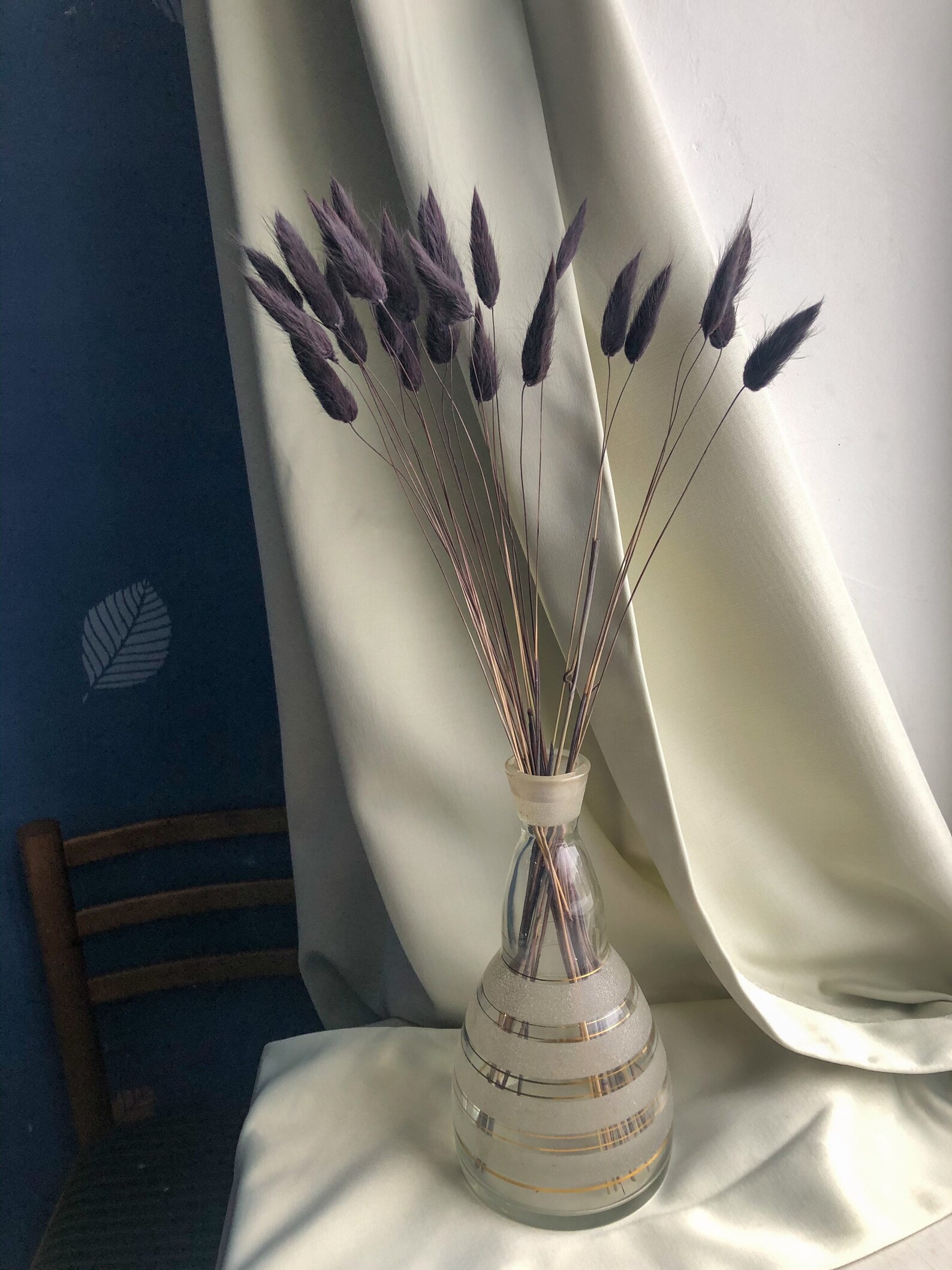 Black Lagurus Grass 25PC Bunny Tail Real Colored Dried Etsy