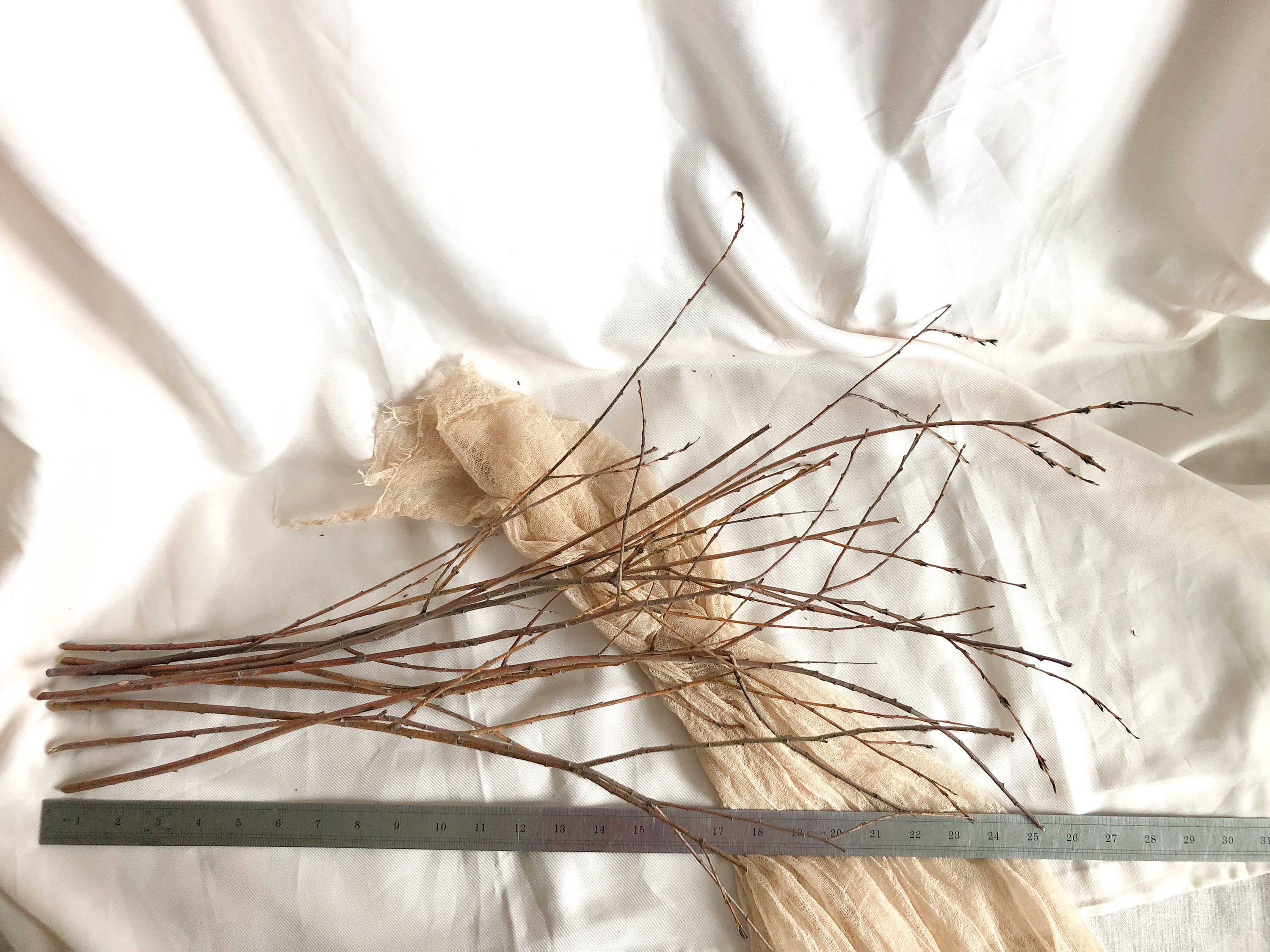 Dry willow branches bouquet 9pc Real Dried branches Etsy