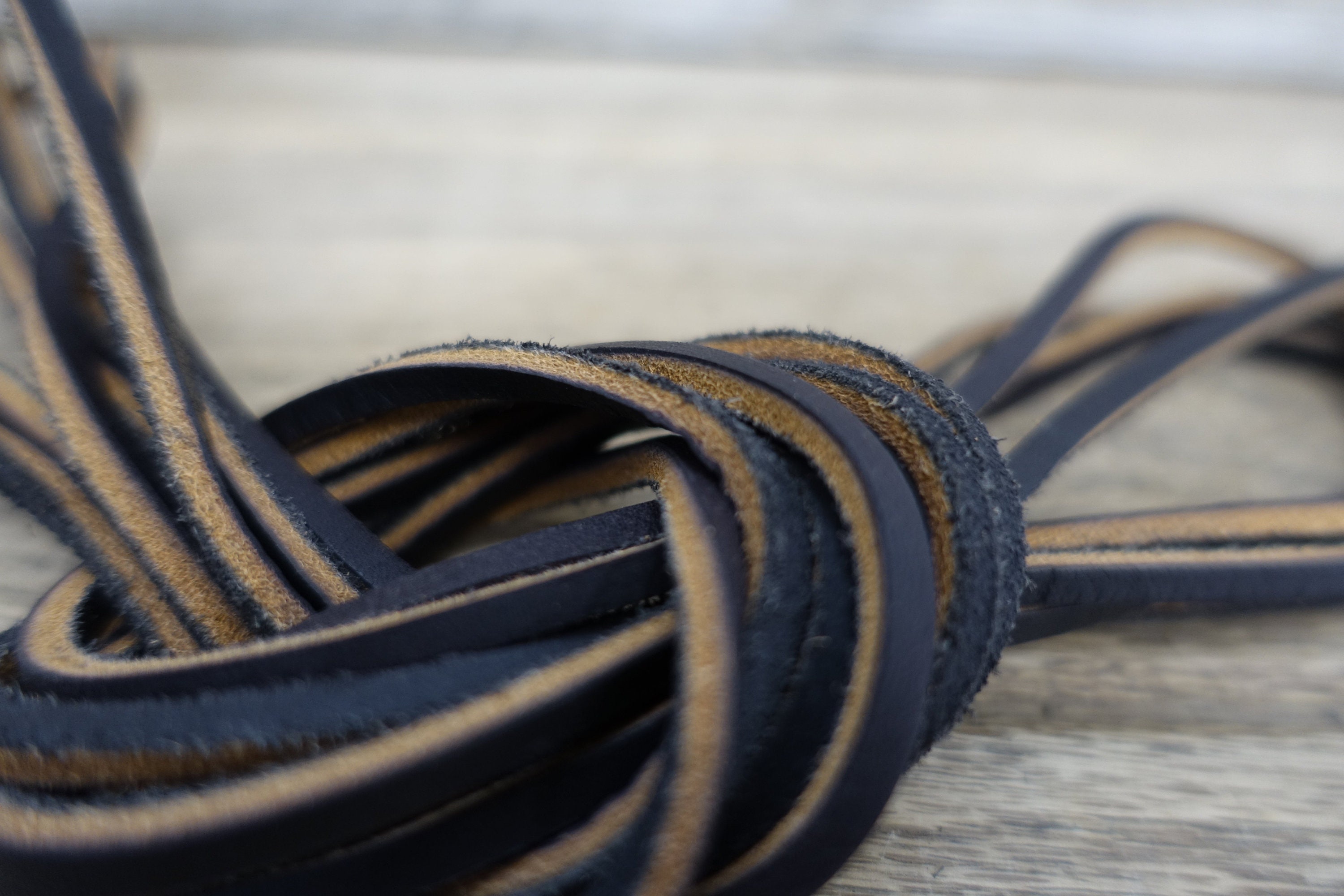 Cougar laces shop