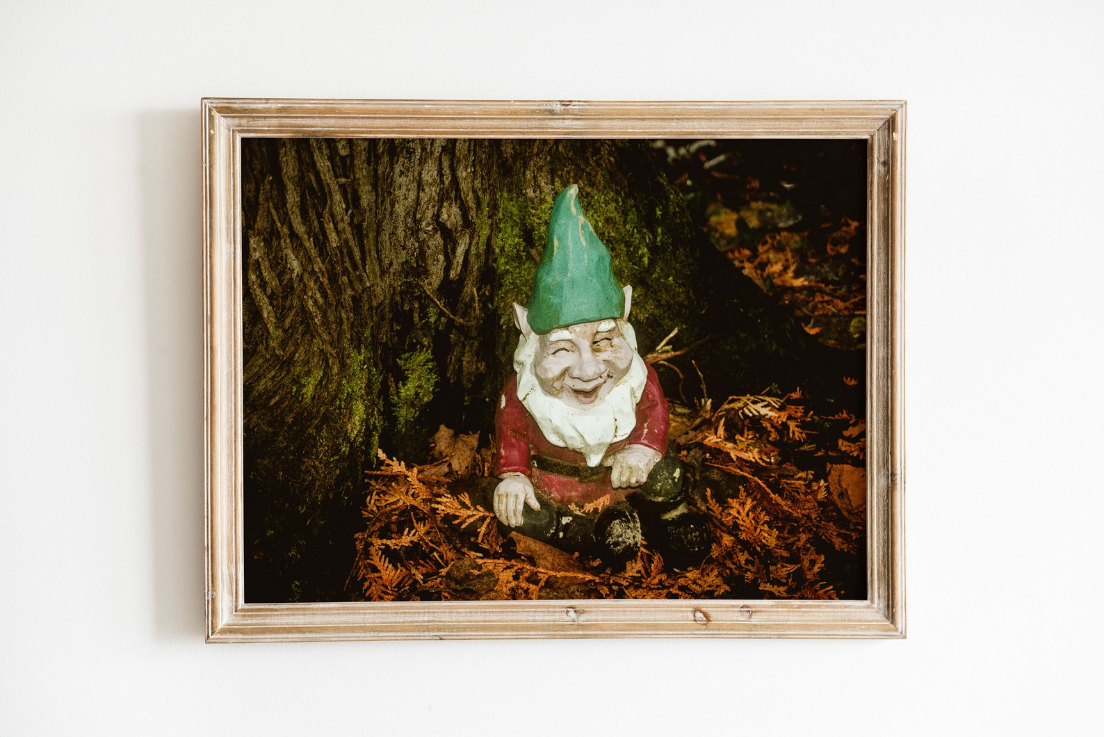 Happy Gnome Photography Print Gnome Wall Art Forest Gnome Etsy