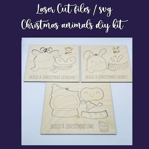 Christmas Ornament DIY  Kit SVG,Christmas crafts ,Paint Craft Kits,Kids Craft Kit, Glowforge cut file, Christmas Laser SVG, digital download