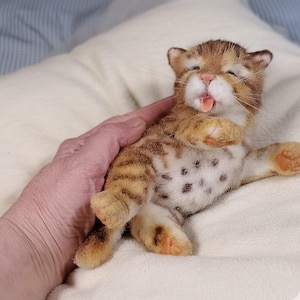 Realistic Poseable Miniature Kitten Sculpture – OOAK Handmade Sleeping Cat Art