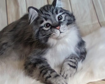 Realistische Plüschkatze: Lebensgroße Kunstfell Figur, Handgemachtes Replica