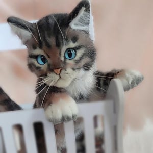 Realistic Plush Kitten: Life-Size Poseable Soft Sculpture, Handmade. TO ORDER
