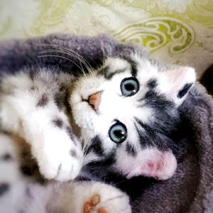 Realistic Handmade Spotted Kitten -Poseable Toy Cat- Collectible Art Doll - Pet Memorial Gift