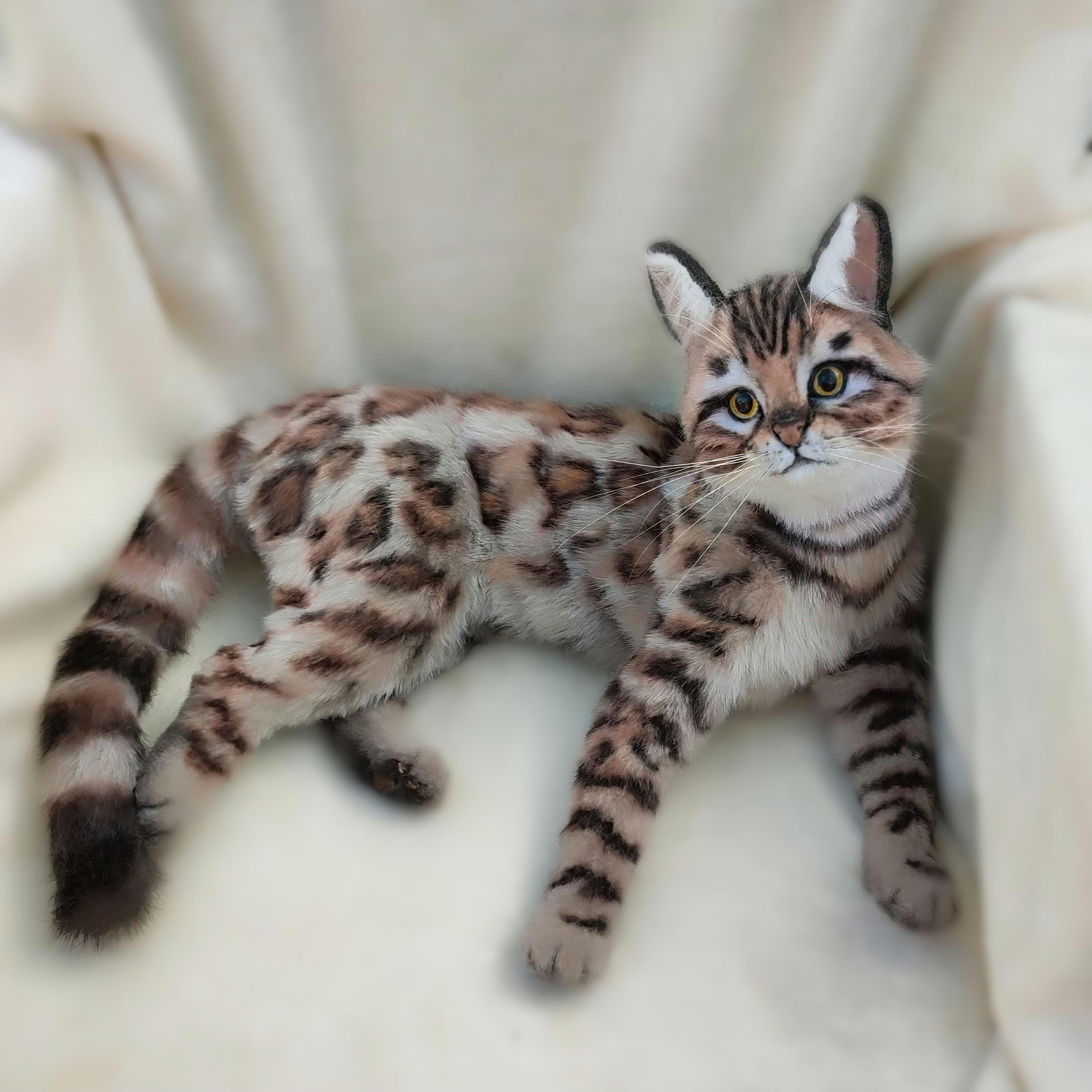 Leopard Bengal Grey Cat Grey Bengal Leopard Kittens Hypoallergenic