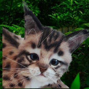 Realistic plush  small lynx kitten art doll,Soft sculpture pet portrait, Cat life size,Collectible poseable cat TO ORDER