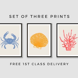 Seaside Wall Art Prints - Set of Three | Shell | Crab | Coral | Seaside Theme | Restaurant Decor | Modern Kitchen Prints