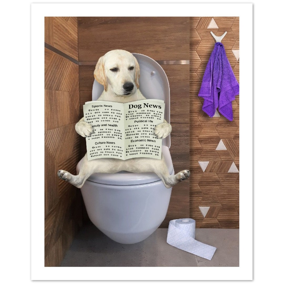 Labrador Toilet Print Etsy