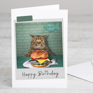 Fish Burger Cat Birthday Greeting Card | Funny Cat Birthday Card | Hamburger Birthday Card