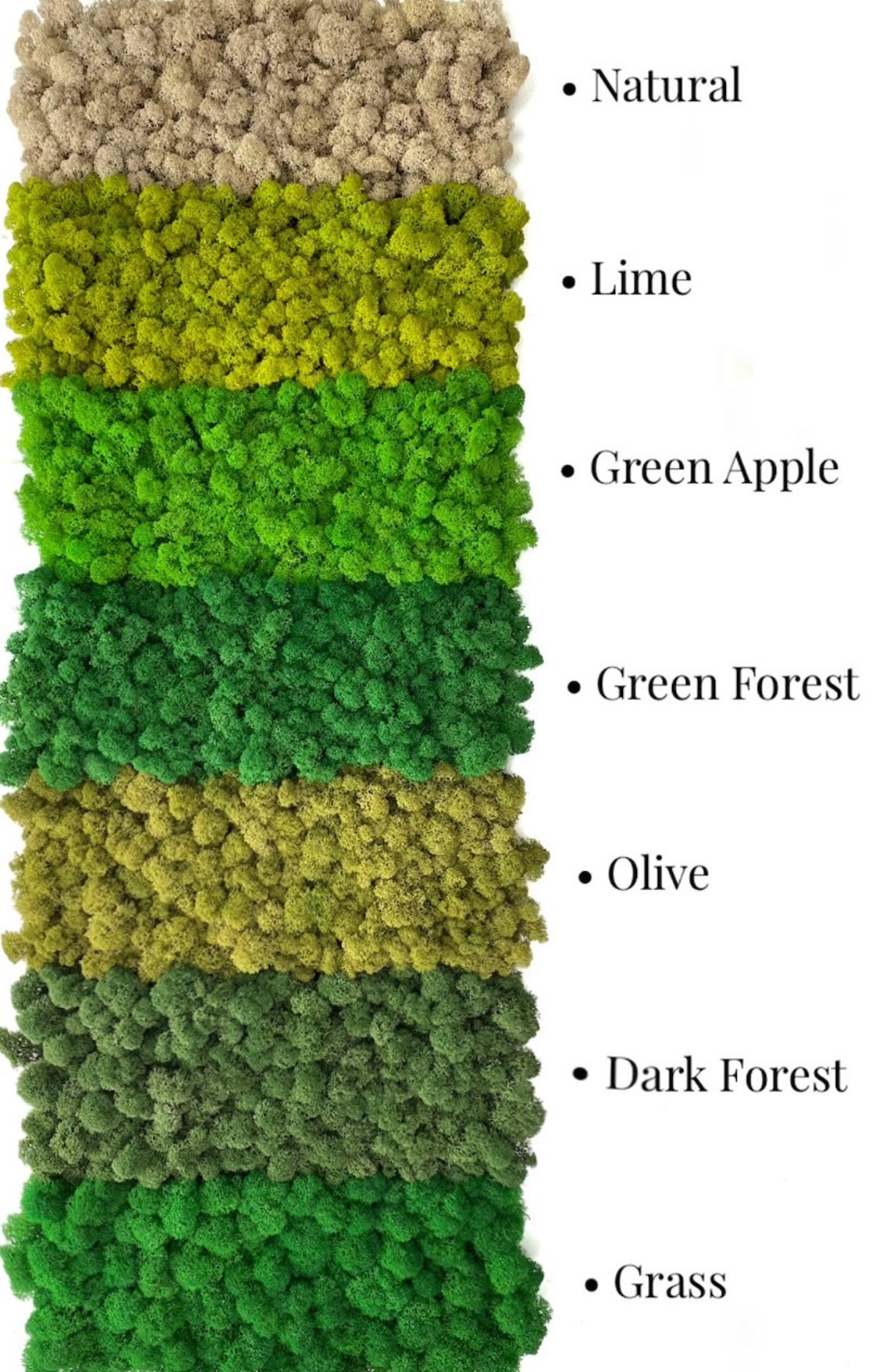 Lebende Wand 19 X 19 19 X 27 Panel Moos Kork basierte Moos | Etsy