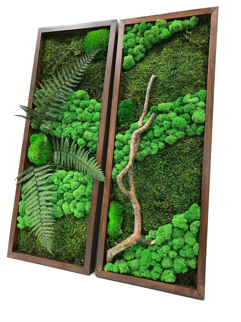 Moss Wall Diptych in Frame Preserved Moss Art Framed Living Etsy