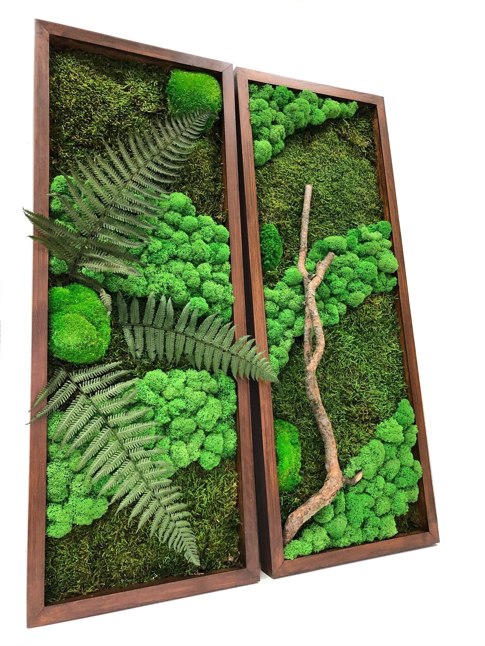 Moss Wall Diptych in Frame Preserved Moss Art Framed Living Etsy