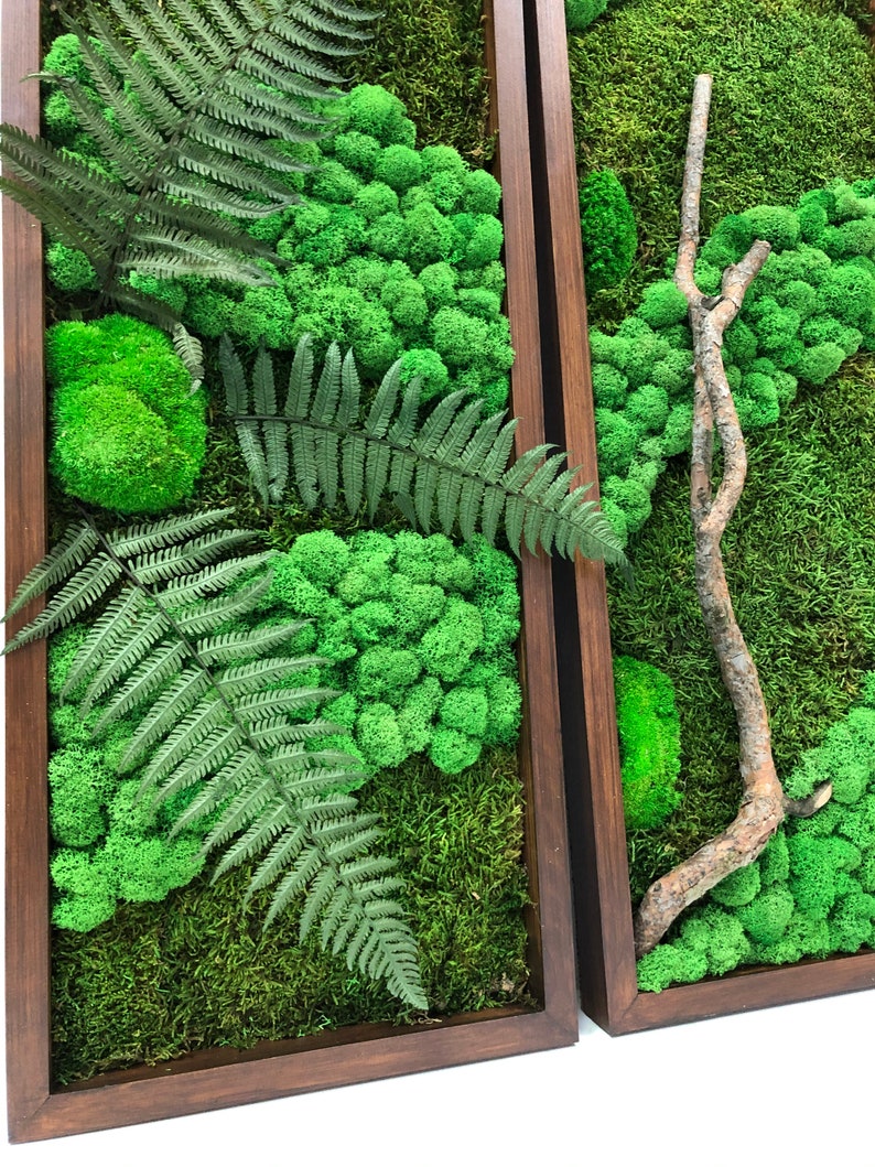Moss Wall Diptych in Frame Preserved Moss Art Framed Living Etsy