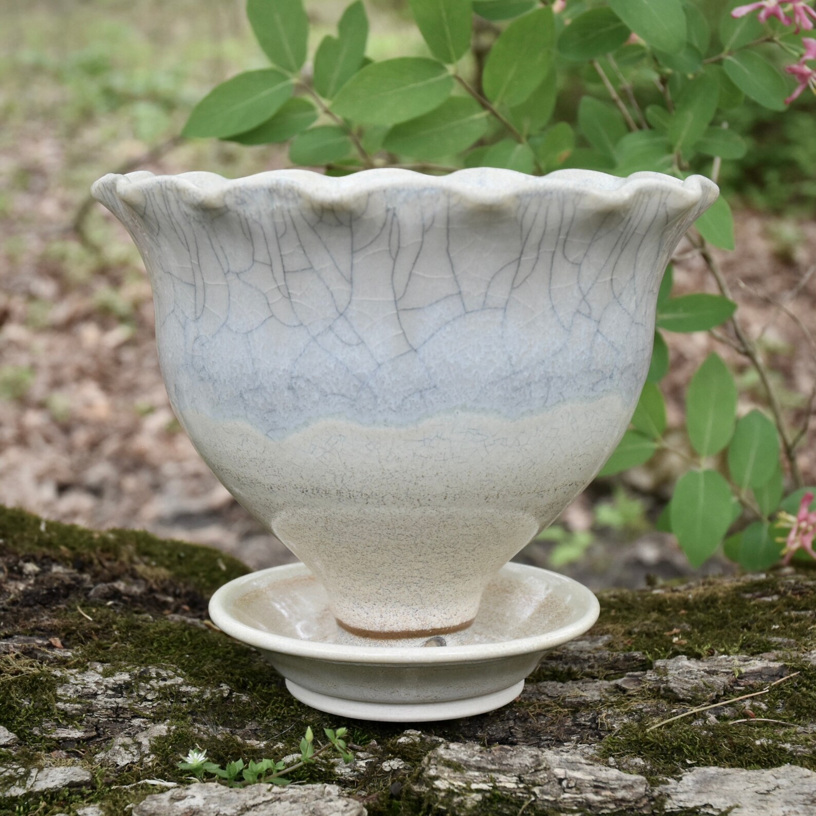 indoor ceramic planters with drainage