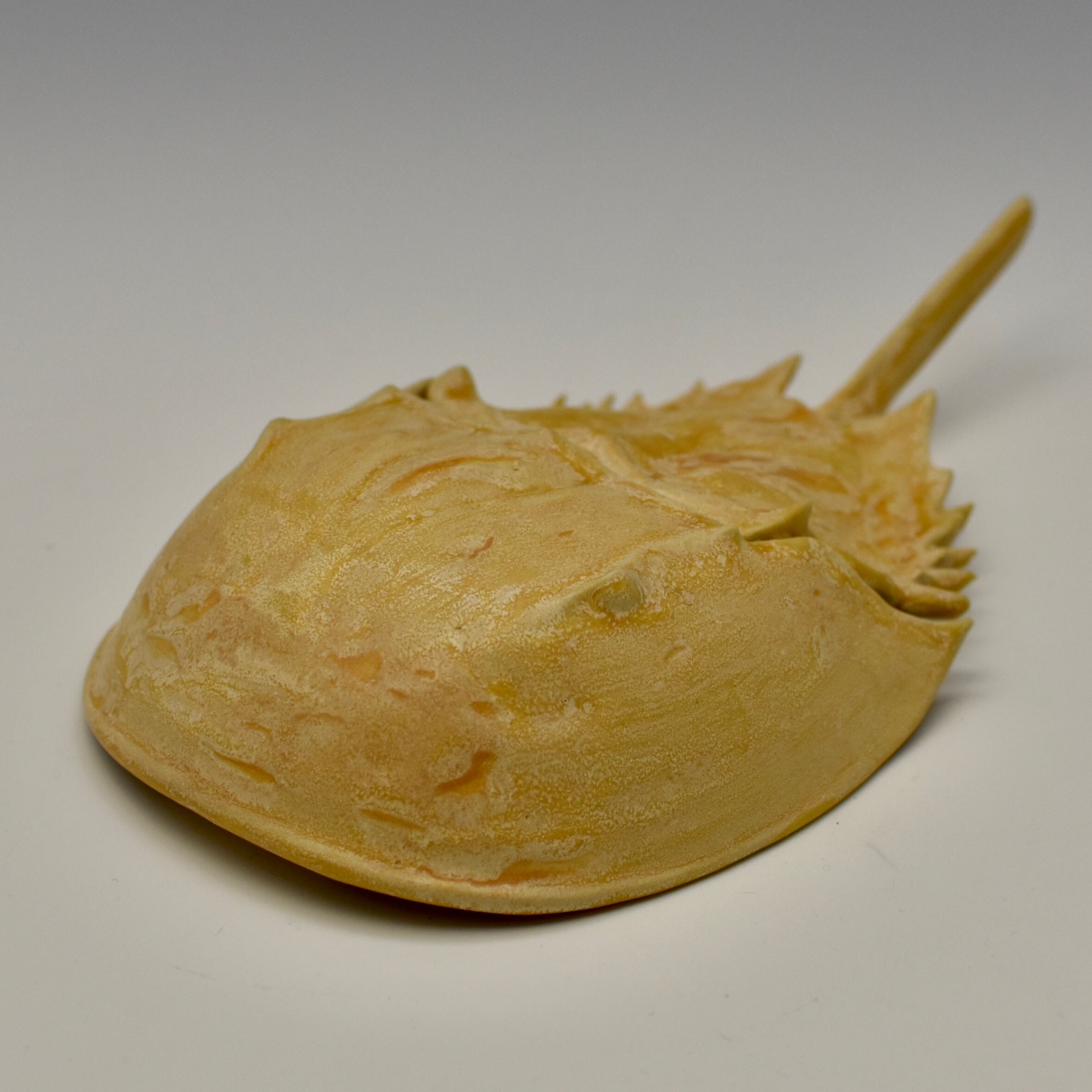 Horseshoe crab ceramic sculpture with built in varying Etsy