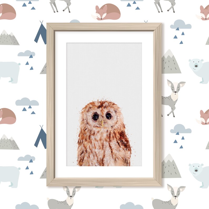 Baby Tawny Eule Wand Kunstdrucke Eule Wildlife Zimmer Dekor | Etsy