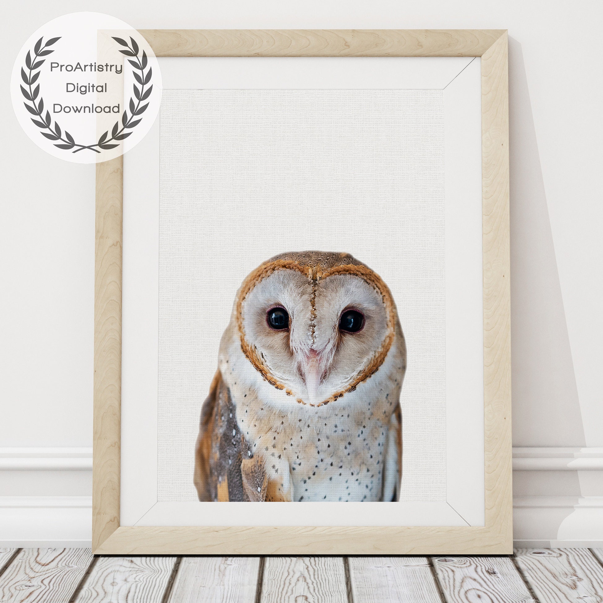Barn Owl Print Woodland Animal Art Owl Wall Art Nursery Etsy