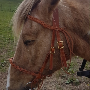 Plaited Bitless Bitted Combi Bridle SORRY NOW SOLD