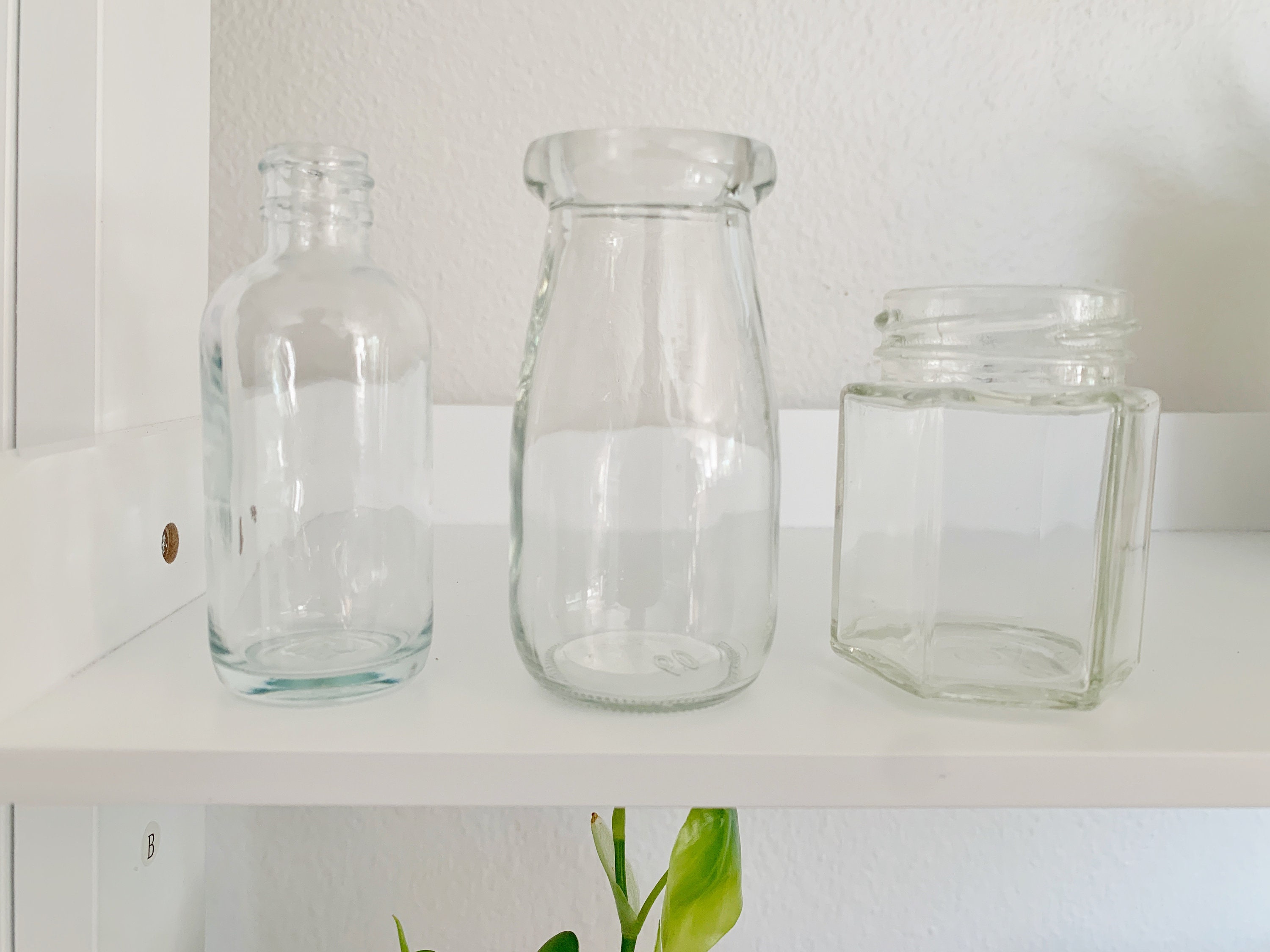 Mixed Set of 3 Propagation Jars Plants Houseplants Etsy