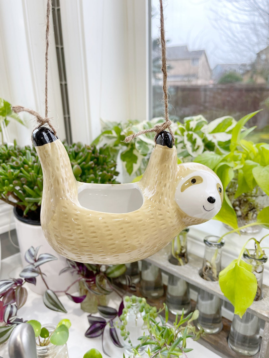 Sloth Hanging Planter Plants Houseplants Etsy