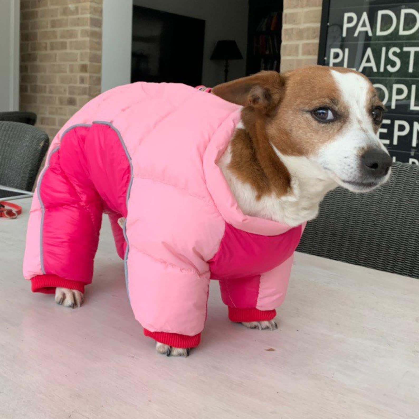 Adorable pink dog puffer jacket Perfect for small dogs so Etsy